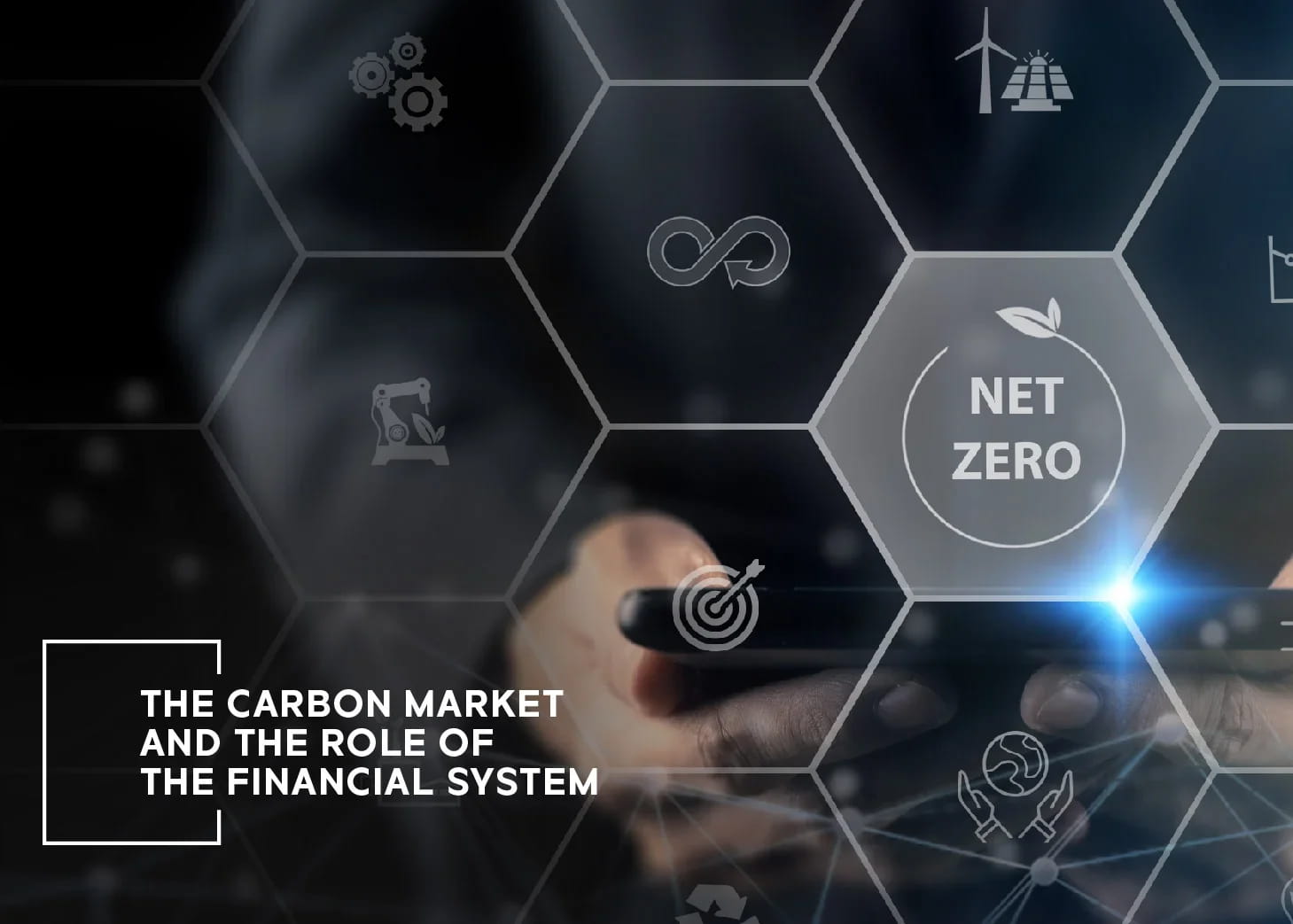 The Carbon Market and the Role of the Financial System